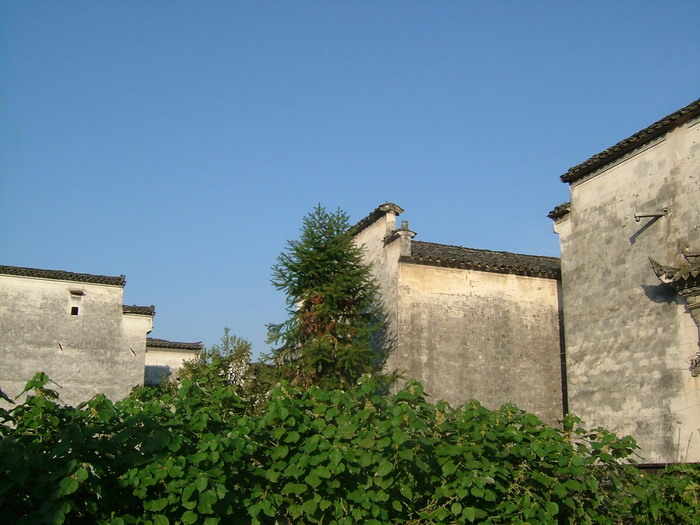 Nanping Village8